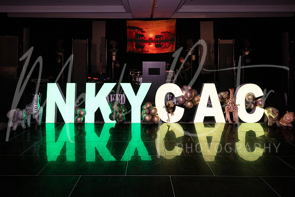 NKYCACG25025 2x3 ratio