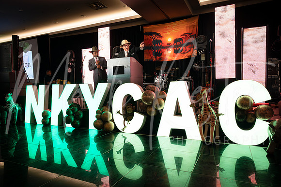 NKYCACG250149 2x3 ratio