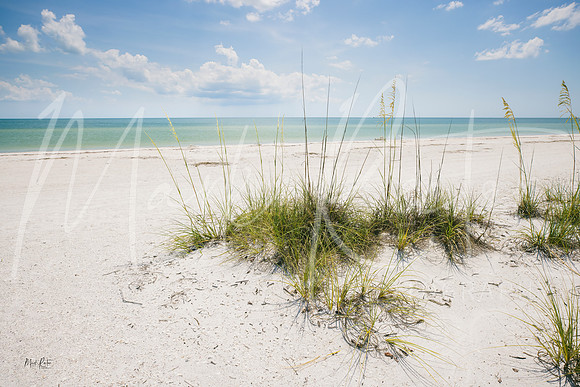 Tigertail Beach