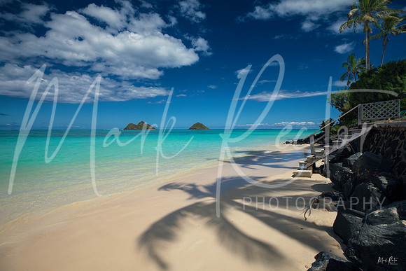 Steps Away From Paradise