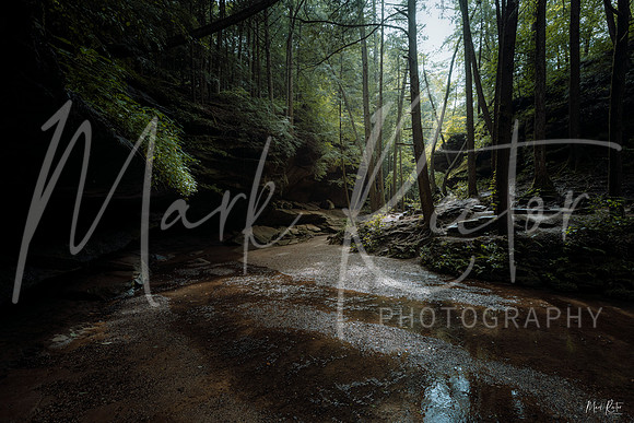 Chasm of Light