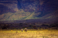 Crossing Entabeni